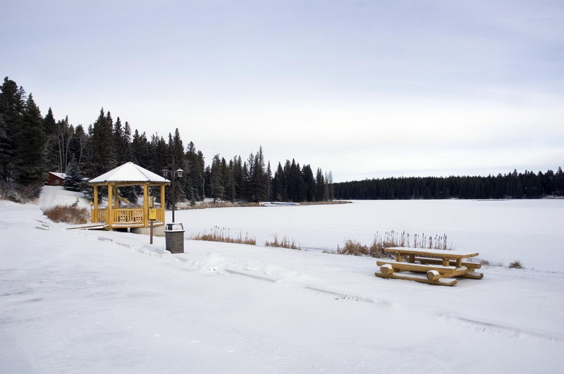 091122_027_cypresshills