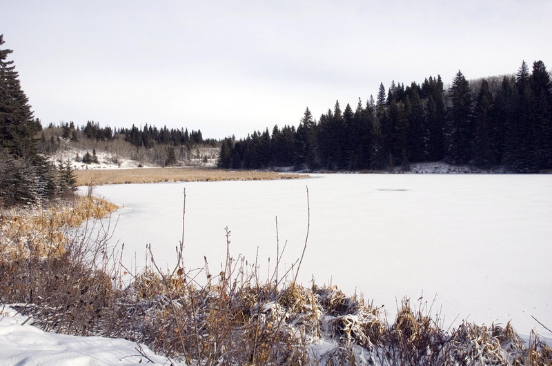 091122_047_cypresshills