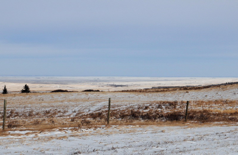 091122_053_cypresshills_views
