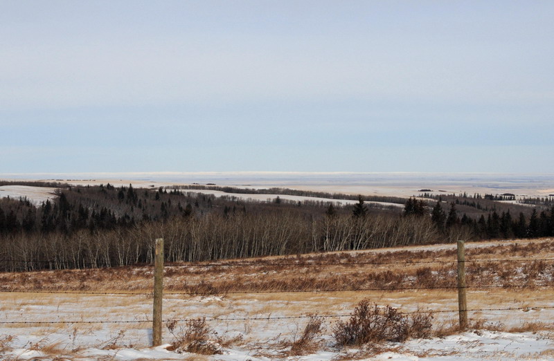 091122_055_cypresshills_views