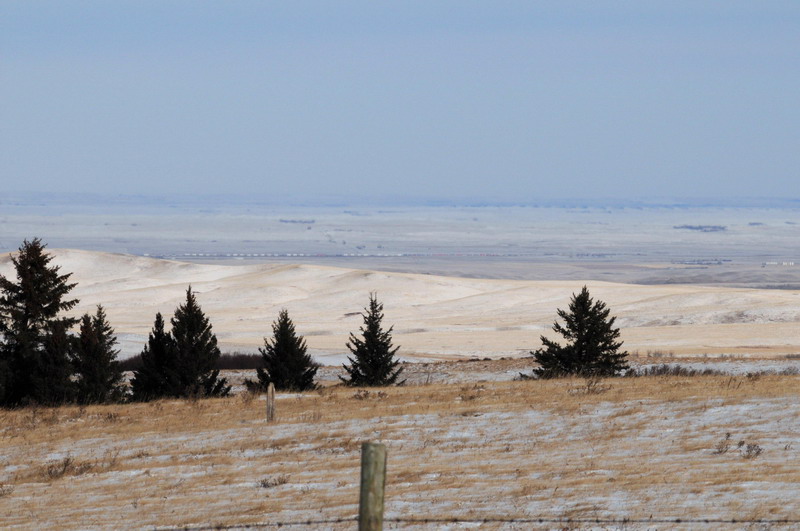 091122_057_cypresshills_views