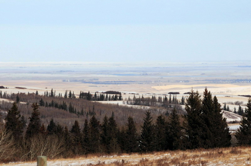 091122_059_cypresshills_views