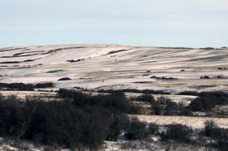 091122_070_maplecreekarea