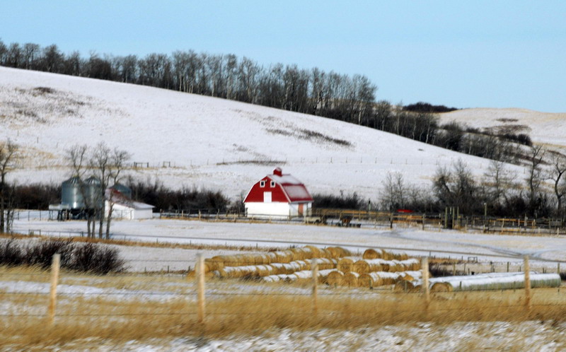 091122_074_maplecreekarea