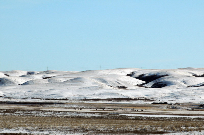 091122_083_prairie