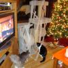 091231_newyearseve03