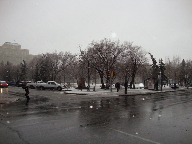 090428_snow