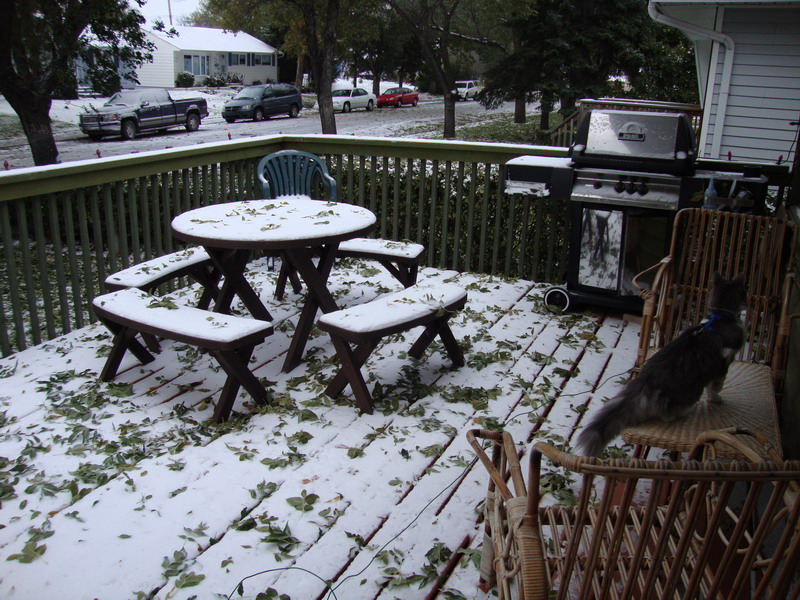 091009_firstsnow2