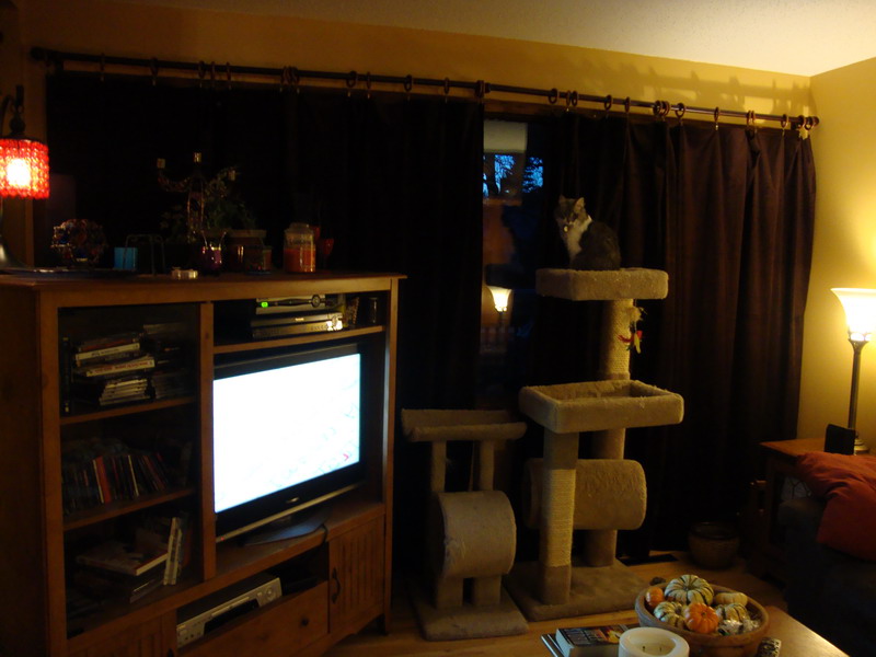 091113_02_newcurtains