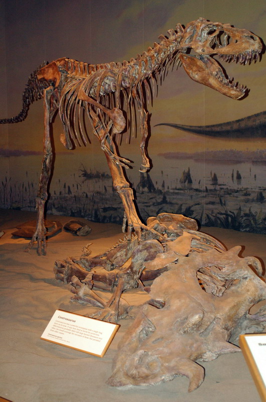 090711_075_drumhellermuseum