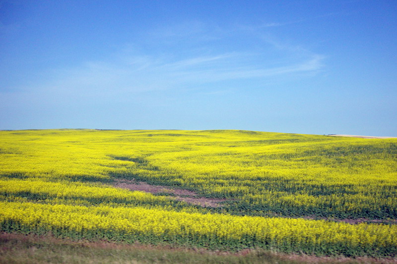 090712_01_prairie