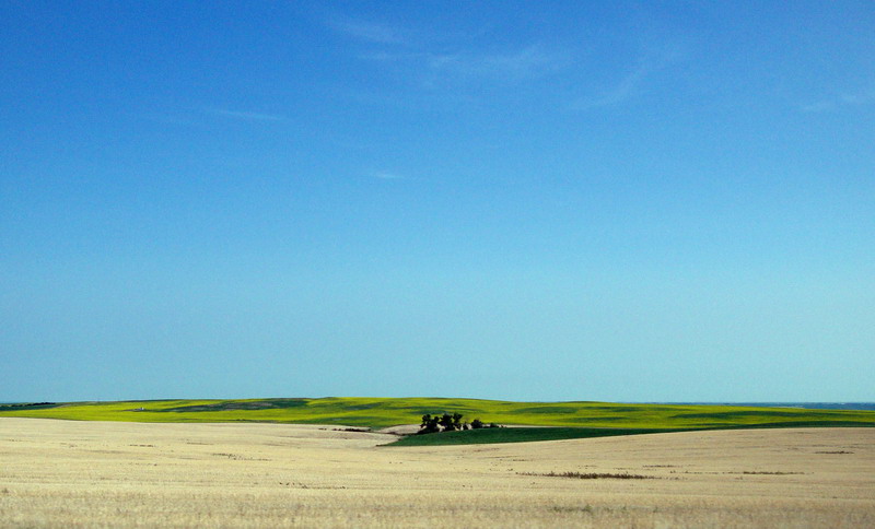 090712_02_prairie