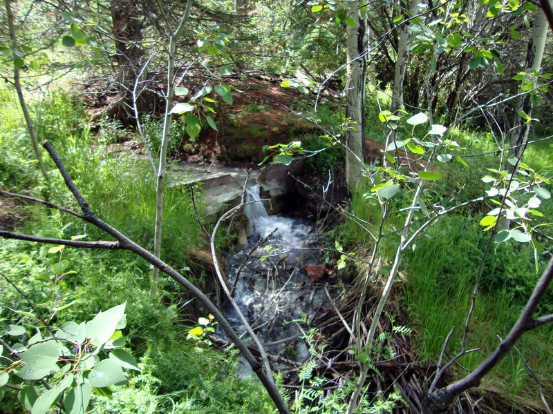 090715_22_banff_caveandbasin