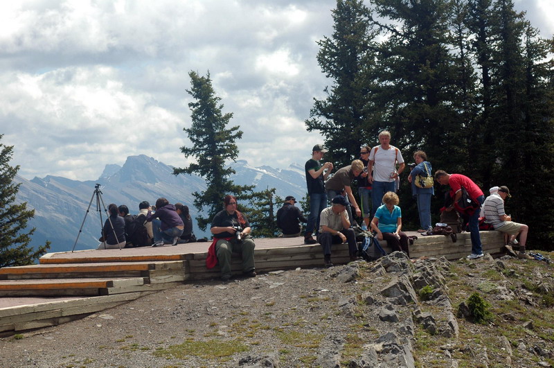 090715_56_banff_sulphurmountain