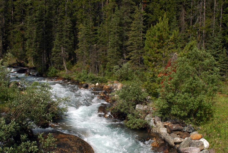 090716_022_valleyofthetenpeaks