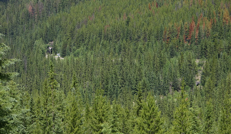 090716_095t1_yoho_spiraltunnels