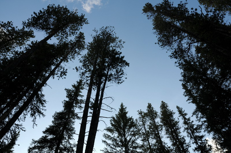 090716_137_lakelouisecampground