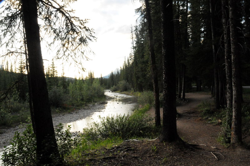 090716_149_lakelouisecampground