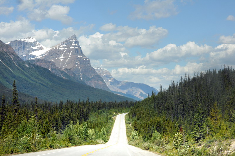 090717_057_icefieldsparkway