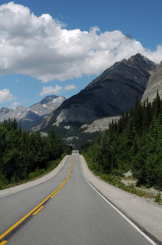 090717_071_icefieldsparkway