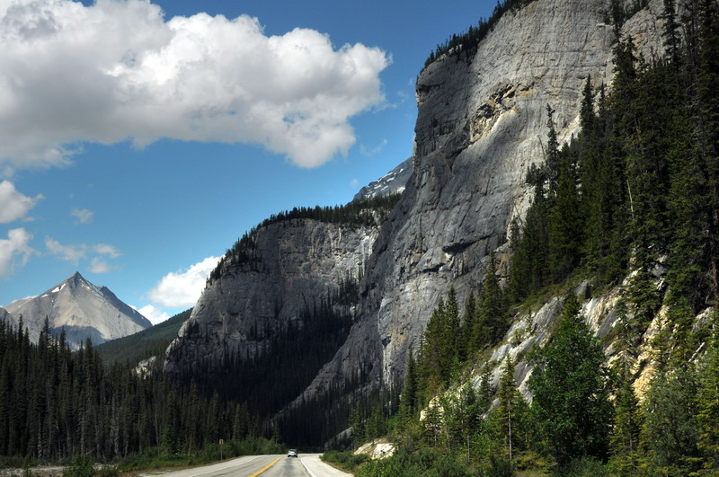 090717_079_icefieldsparkway