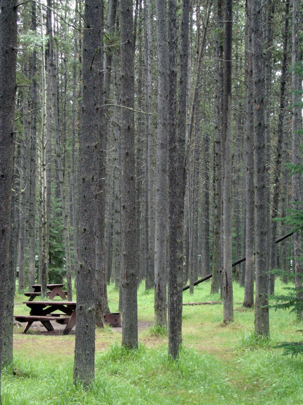 090719_006_whistlerscampground