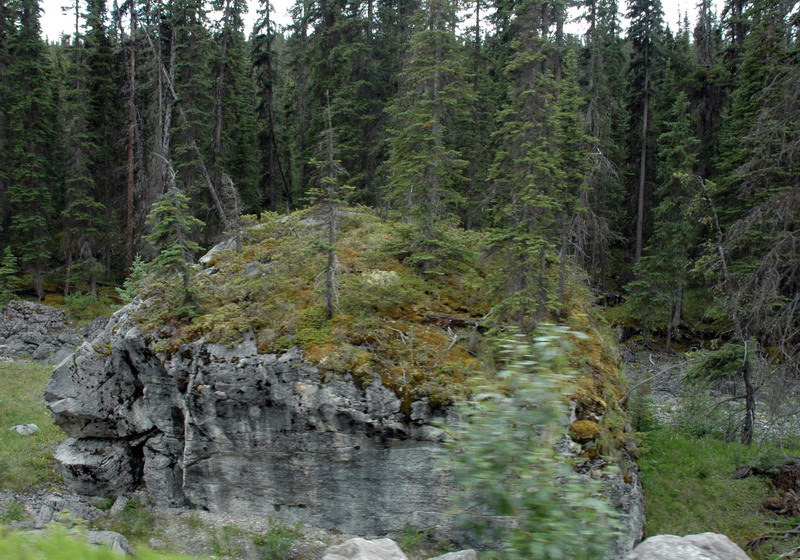 090719_039_maligneroad