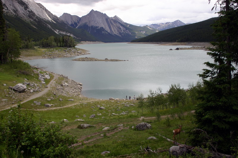 090719_041t_medicinelake