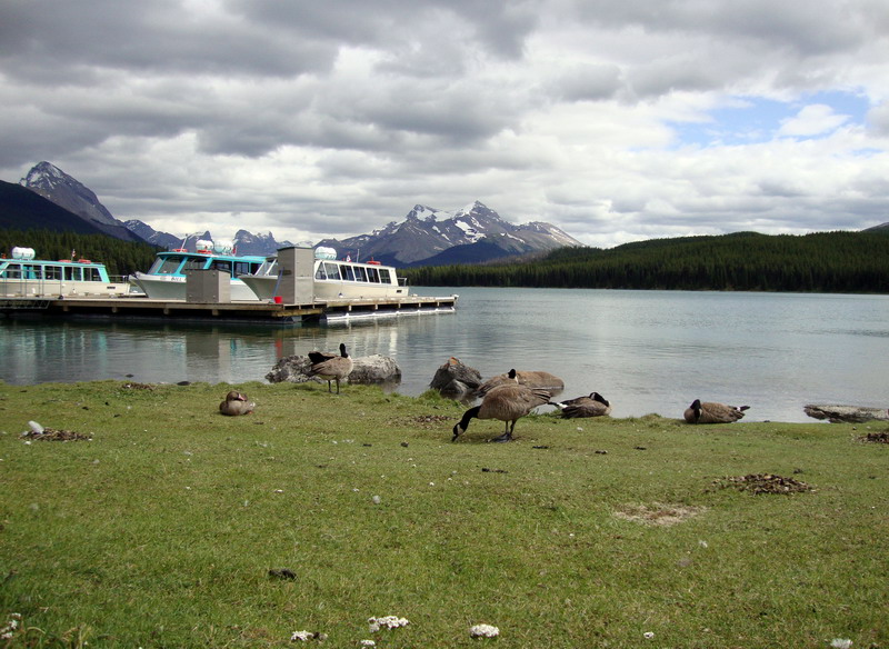 090719_083_malignelake