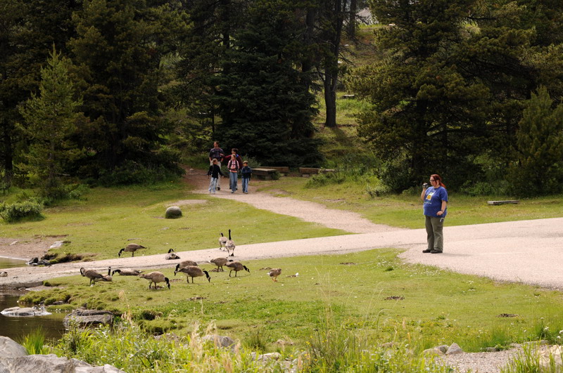 090719_089_malignelake