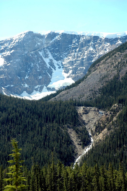 090720_031_icefieldsparkway