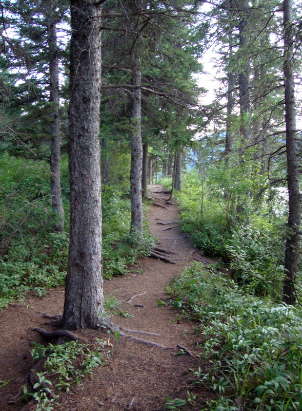 090720_094_bowvalleycampground