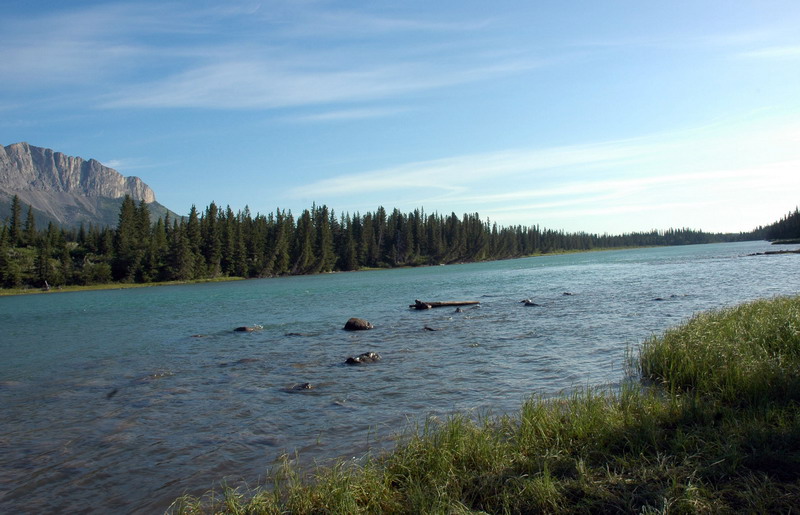 090721_002_bowvalleycampground