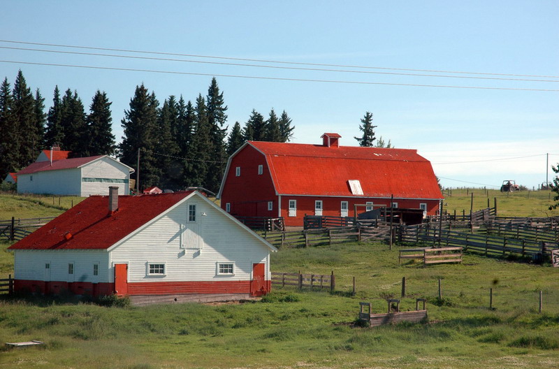 090721_019_foothills