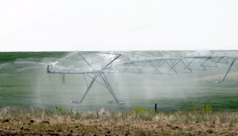 090721_033_prairie