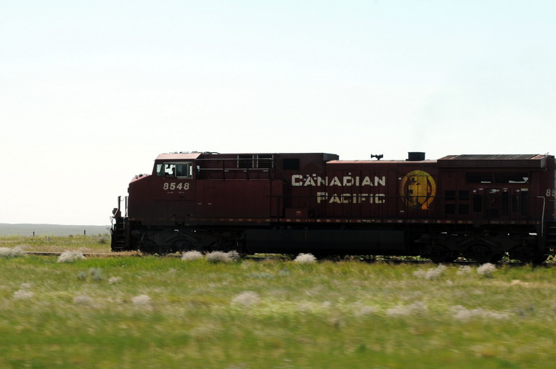 090721_036_prairie