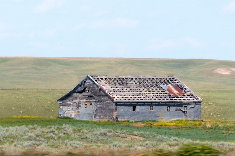 090721_061_prairie