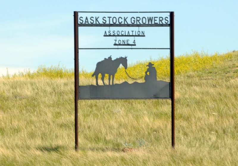 090721_064_prairie