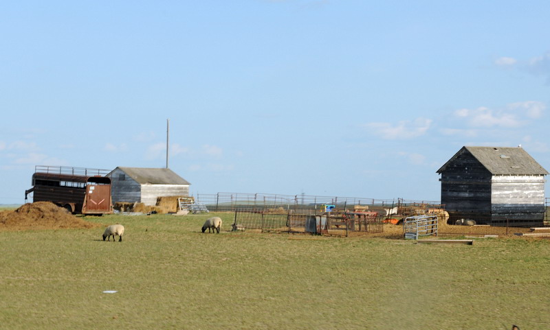 090721_078_prairie
