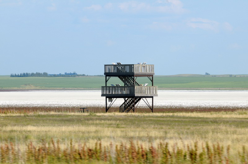 090721_079_prairie_reedlake