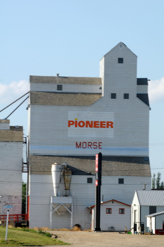 090721_082_prairie_morse