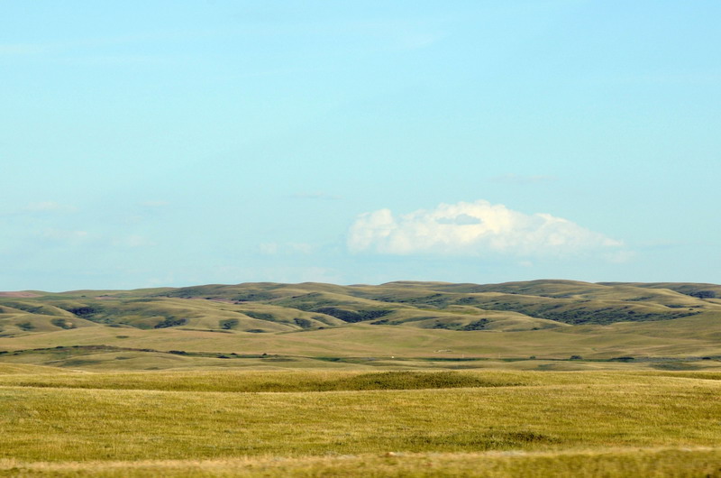 090721_090_prairie