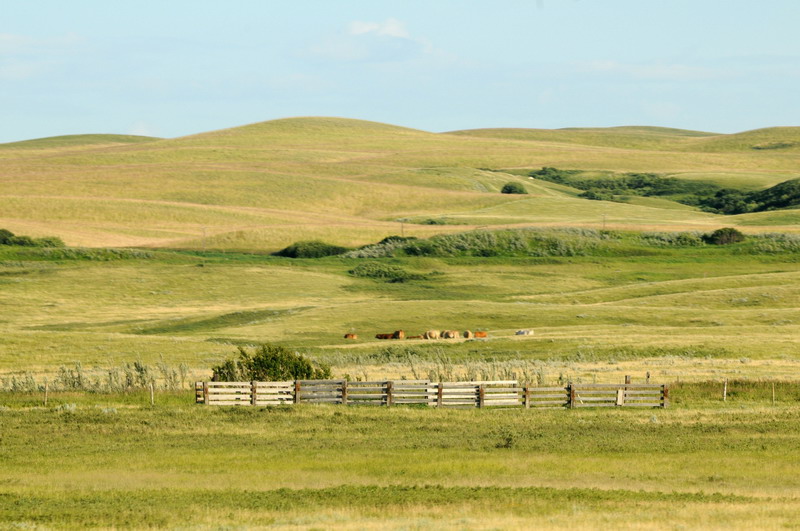 090721_093_prairie