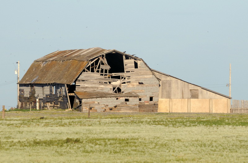 090721_095_prairie