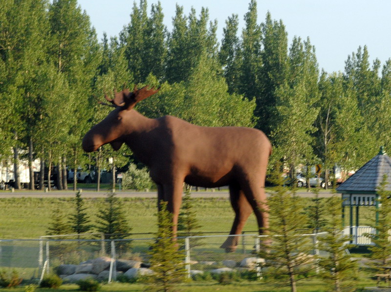 090721_099_moosejaw