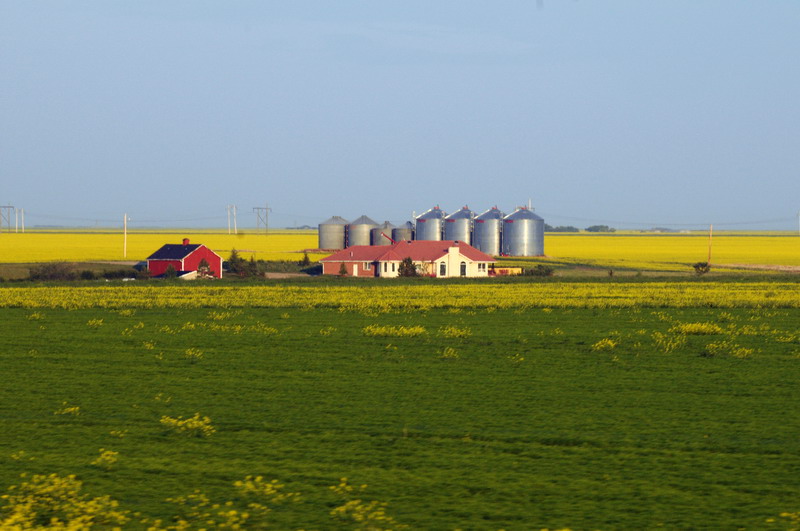090721_101_prairie