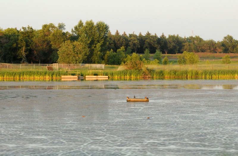 090721_107_regina