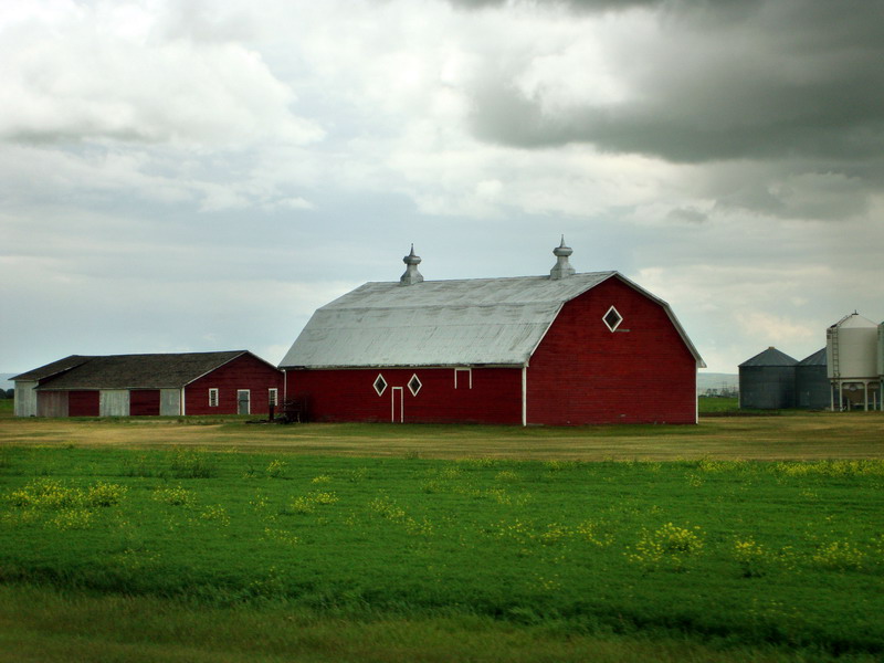090729_079_moosejawtrip