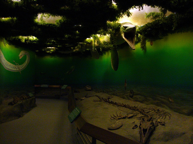 090803_03_royalsaskatchewanmuseum