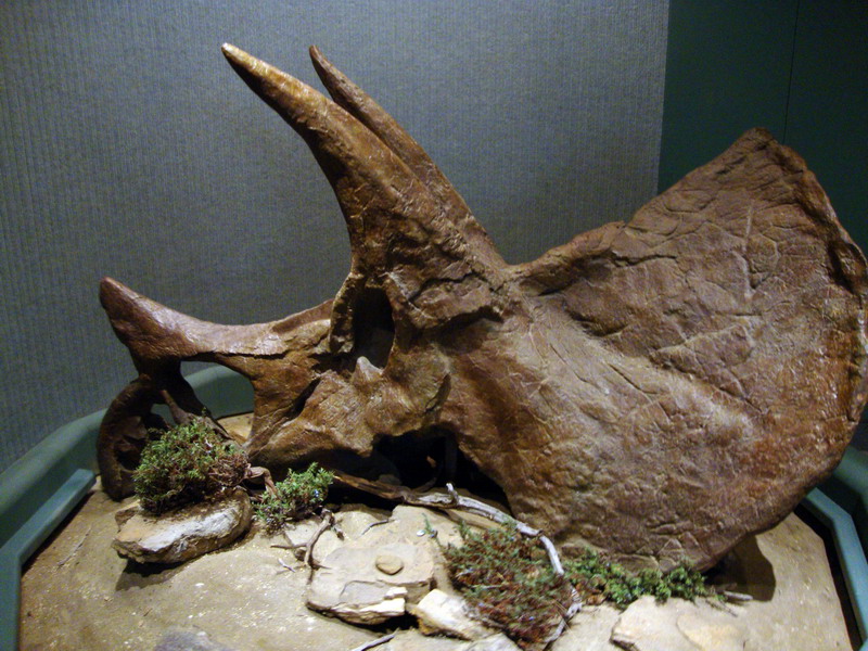 090803_05_royalsaskatchewanmuseum